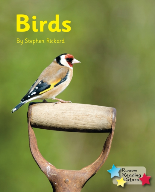 Birds, Paperback / softback Book