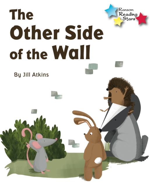 The Other Side of the Wall, Paperback / softback Book