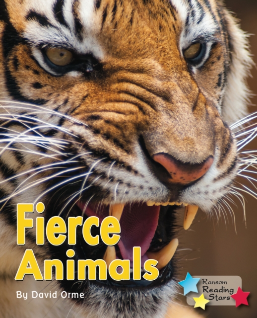 Fierce Animals, Paperback / softback Book
