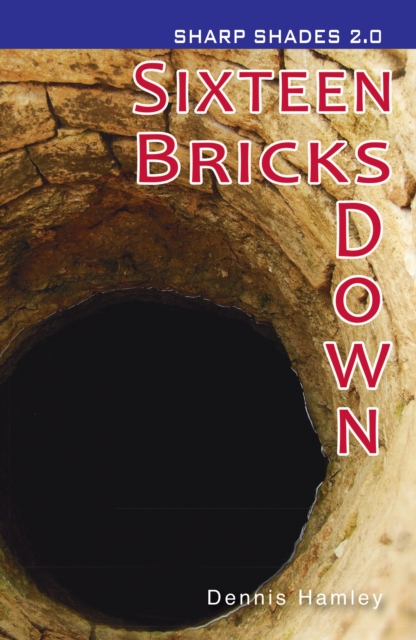 Sixteen Bricks Down  (Sharp Shades), Paperback / softback Book