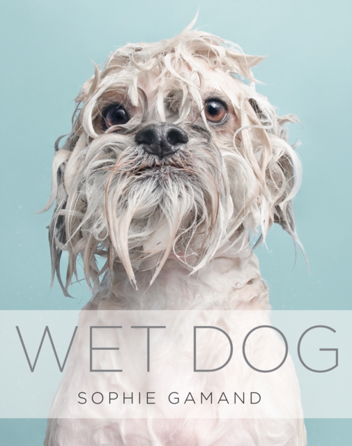 Wet Dog, Hardback Book