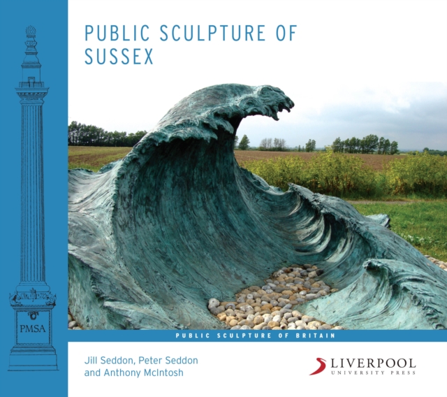 Public Sculpture of Sussex, Hardback Book