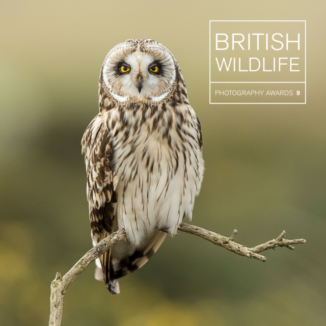 British Wildlife Photography Awards 9, Hardback Book