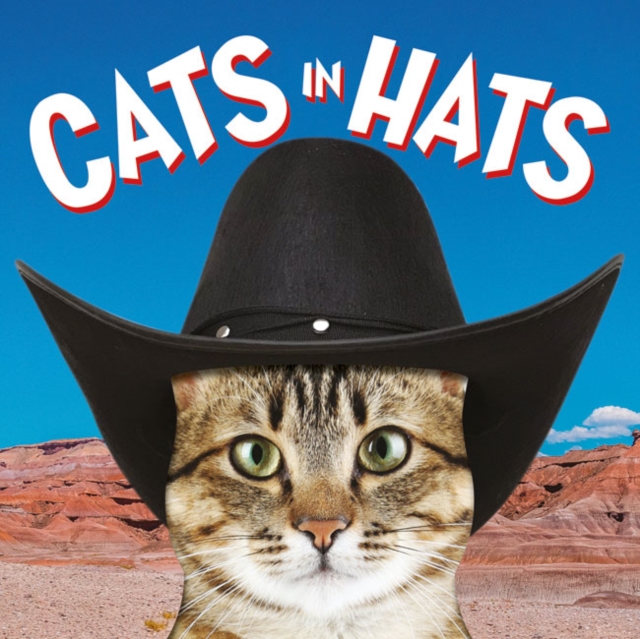 Cats in Hats, Board book Book
