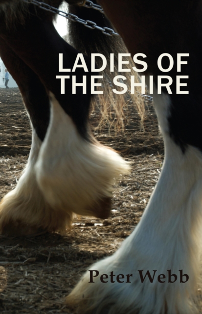Ladies of the Shire, EPUB eBook