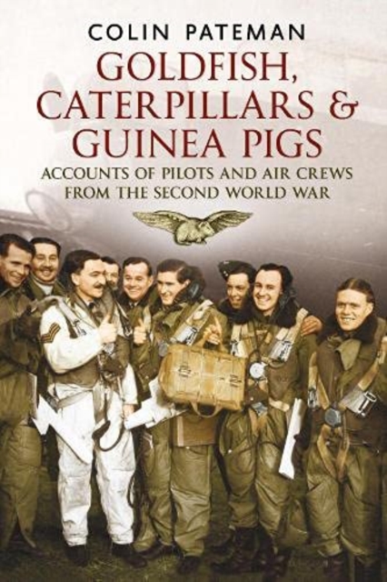 Goldfish Caterpillars & Guinea Pigs : Accounts of Pilots and Air Crews from World War II, Paperback / softback Book