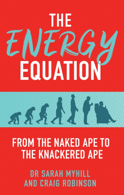 The Energy Equation : From the Naked Ape to the Knackered Ape, Paperback / softback Book