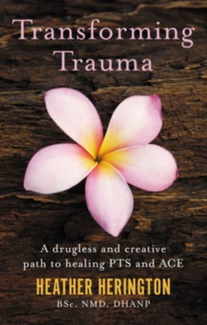 Transforming Trauma : A drugless and creative path to healing PTS and ACE, Paperback / softback Book