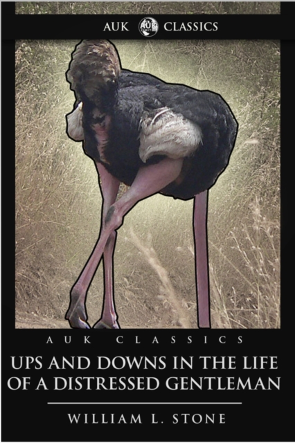 Ups and Downs in the Life of a Distressed Gentleman, EPUB eBook