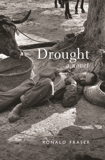 Drought : A Novel, EPUB eBook