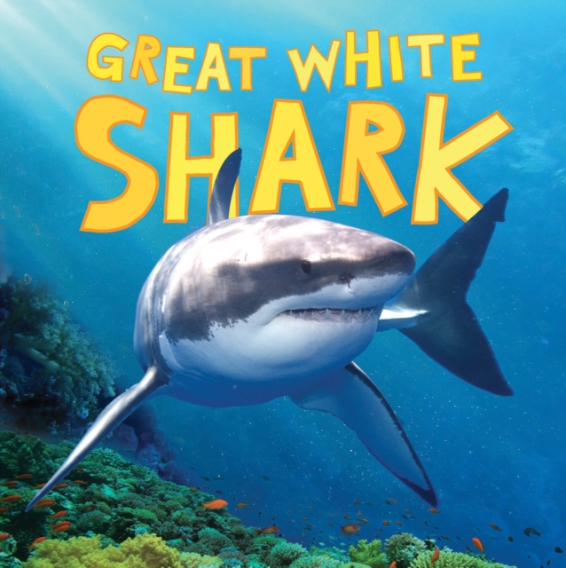 Discover Sharks: Great White Shark, Paperback / softback Book