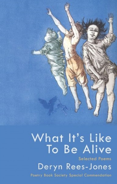 What it's Like to be Alive : Selected Poems, Paperback / softback Book