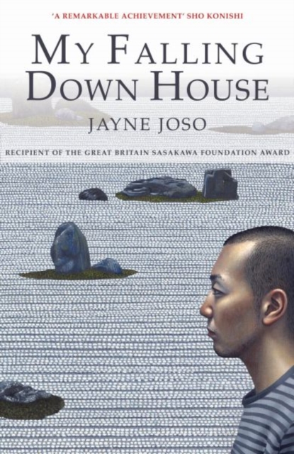 My Falling Down House, Paperback / softback Book