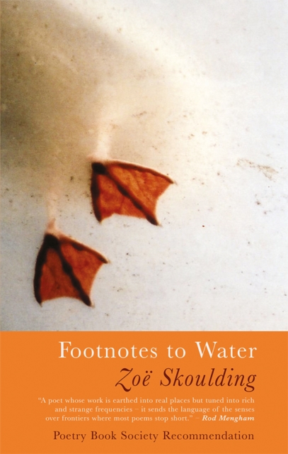 Footnotes to Water, Paperback / softback Book