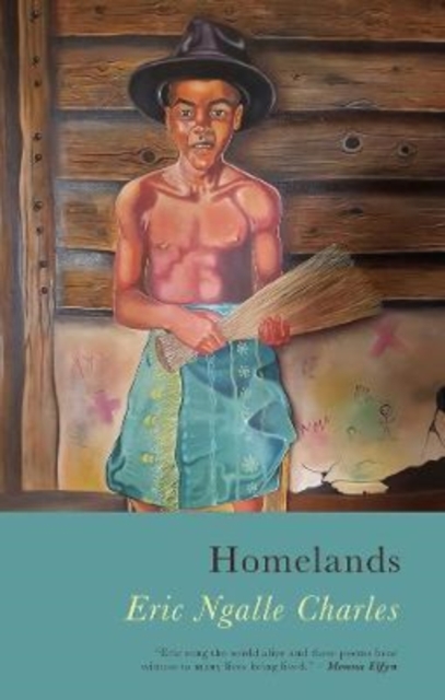 Homelands, Paperback / softback Book