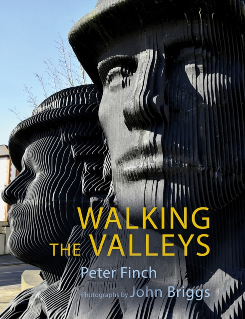 Walking the Valleys, Paperback / softback Book