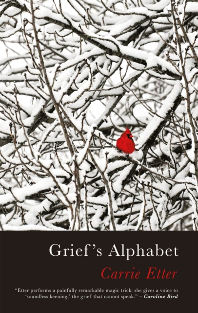 Grief's Alphabet, Paperback / softback Book