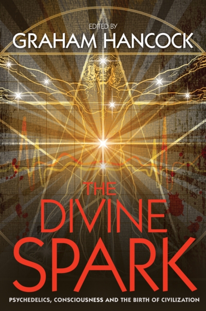 Divine Spark, EPUB eBook