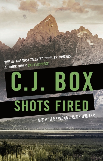 Shots Fired : An Anthology of Crime Stories, EPUB eBook