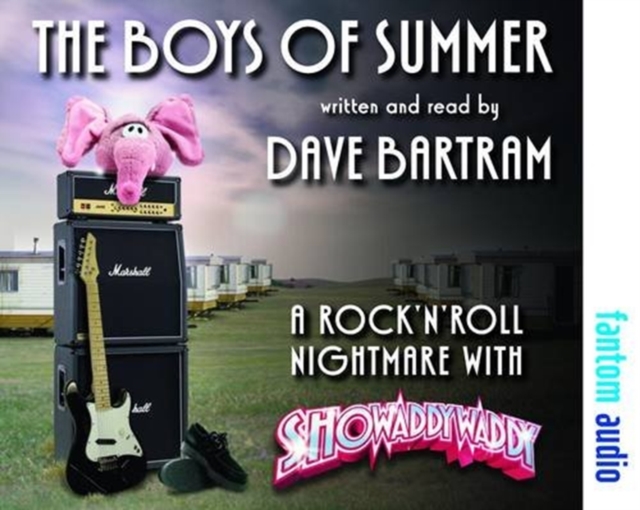 The Boys of Summer : A Rock 'n' Roll Nightmare with Showaddywaddy, CD-Audio Book