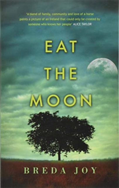 Eat The Moon, Paperback / softback Book