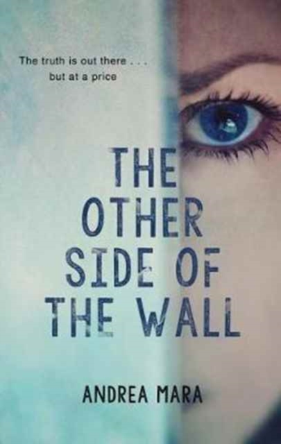 The Other Side of the Wall, Paperback / softback Book