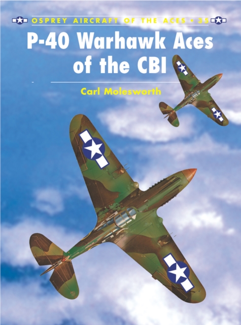 P-40 Warhawk Aces of the CBI, EPUB eBook