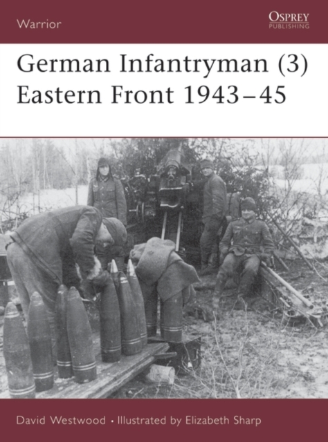 German Infantryman (3) Eastern Front 1943–45, PDF eBook