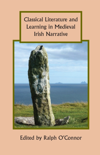 Classical Literature and Learning in Medieval Irish Narrative, PDF eBook