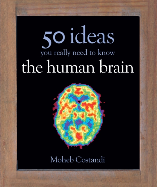 50 Human Brain Ideas You Really Need to Know, EPUB eBook