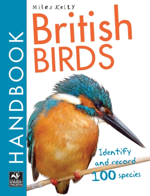 British Birds Handbook, Paperback / softback Book