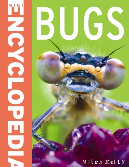 Bugs, Paperback / softback Book