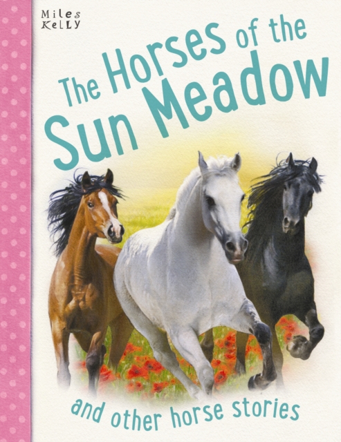 Horses Of Sun Meadow, Paperback / softback Book