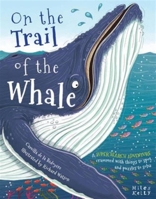 On the Trail of the Whale, Paperback / softback Book