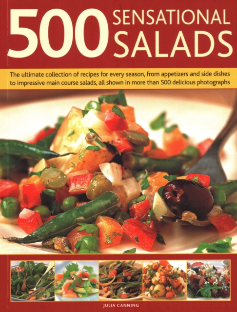 500 Best-Ever Salads : Recipes for every kind of salad from delicious appetizers and side dishes to impressive main courses, with meat, fish and vegetarian options, and over 500 colour photographs, Paperback / softback Book