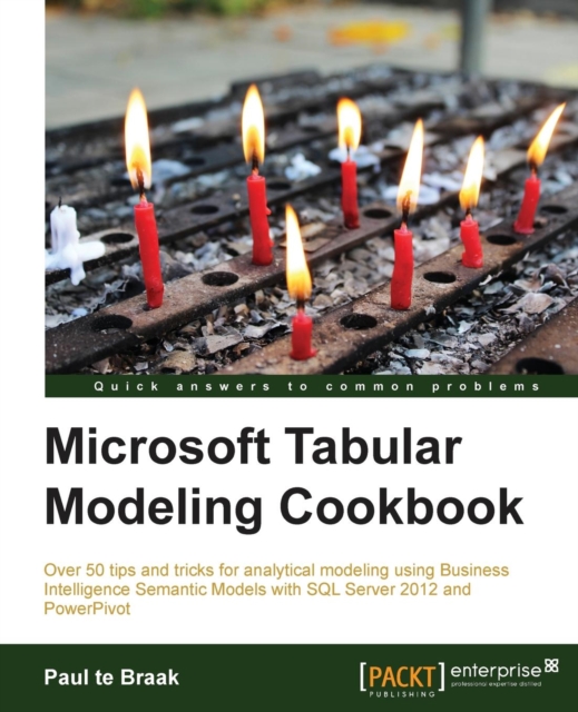 Microsoft Tabular Modeling Cookbook, Electronic book text Book