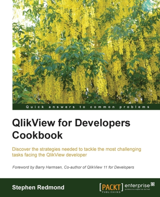 QlikView for Developers Cookbook, Electronic book text Book