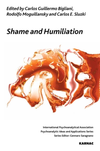 Shame and Humiliation : A Dialogue between Psychoanalytic and Systemic Approaches, Paperback / softback Book