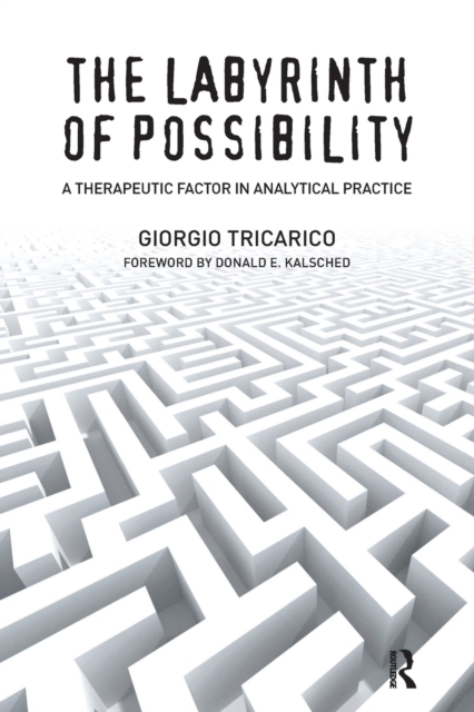 The Labyrinth of Possibility : A Therapeutic Factor in Analytical Practice, Paperback / softback Book