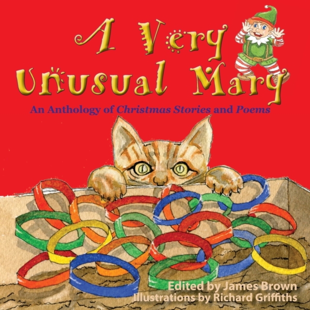 A Very Unusual Mary : An Anthology of Christmas Stories and Poems, Paperback / softback Book