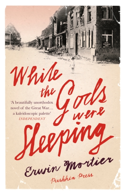 While the Gods Were Sleeping, Paperback / softback Book