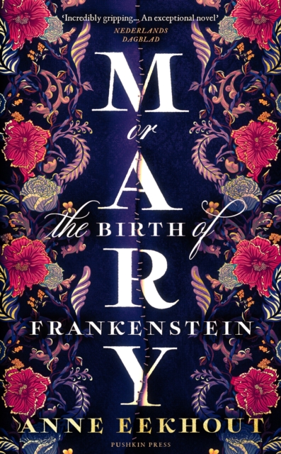 Mary : or, the Birth of Frankenstein, Hardback Book