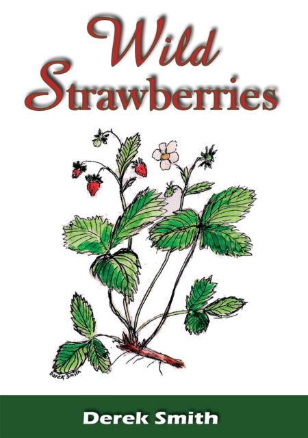 Wild Strawberries, EPUB eBook