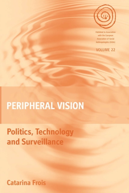 Peripheral Vision : Politics, Technology, and Surveillance, PDF eBook