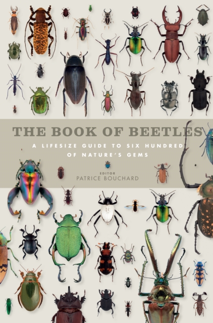 The Book of Beetles : A Life-Size Guide to Six Hundred of Nature's Gems, Hardback Book