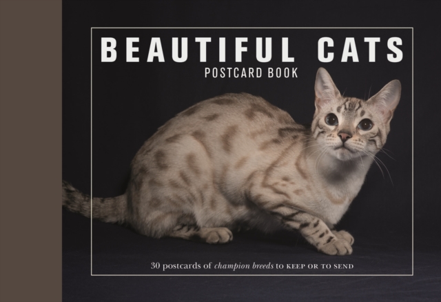 Beautiful Cats Postcard Book : 30 Postcards of Champion Breeds to Keep or to Send, Paperback Book