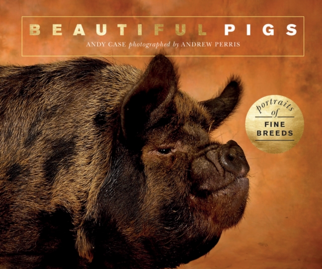 Beautiful Pigs : Portraits of champion breeds, Paperback / softback Book