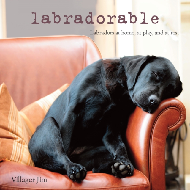 Labradorable : Labradors at Home, at Large, and at Play, Hardback Book