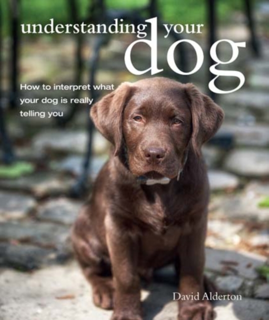 Understanding Your Dog : How to Interpret What Your Dog is Really Telling You, Paperback / softback Book