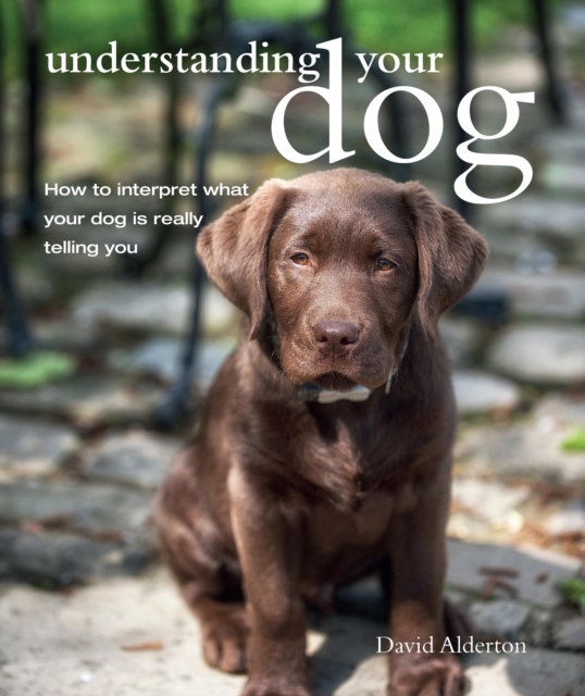 Understanding Your Dog, EPUB eBook
